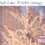 Salt Lake Temple Prints {spring series}