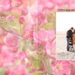 Nicole + Brendan {guest book}