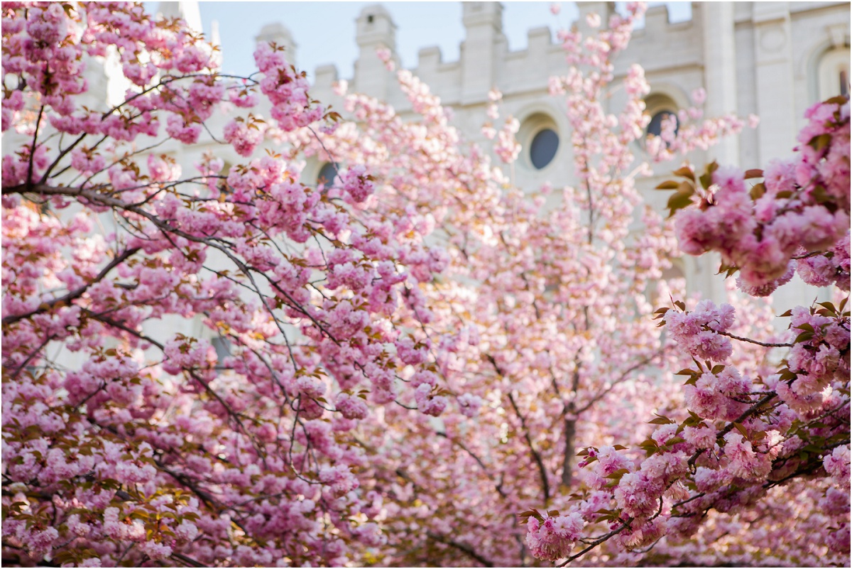 salt lake temple wedding terra cooper photography_1507.jpg