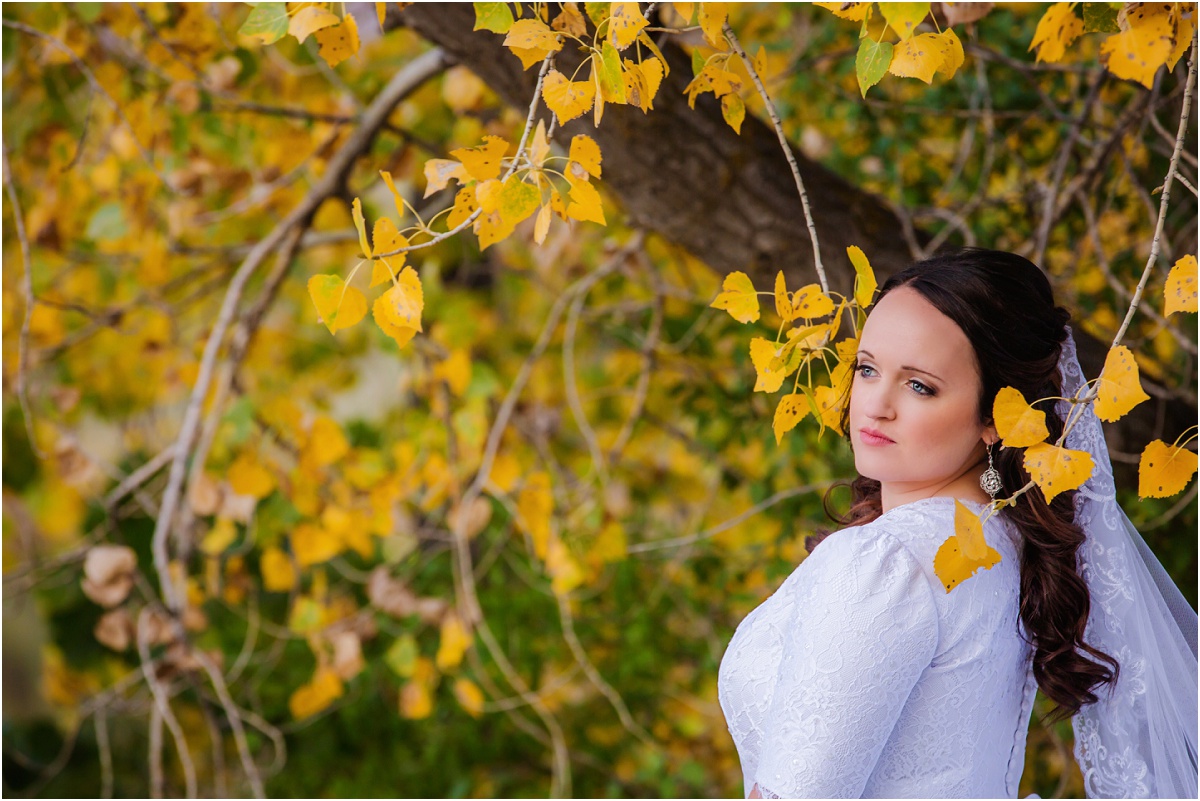 Ogden Utah Temple Wedding Terra Cooper Photography_2151.jpg