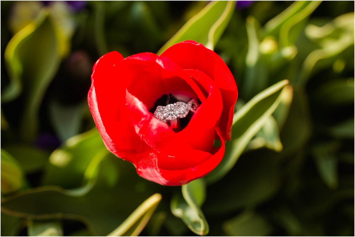 Thanksgiving Point Engagements by Terra Cooper Photography_1671.jpg