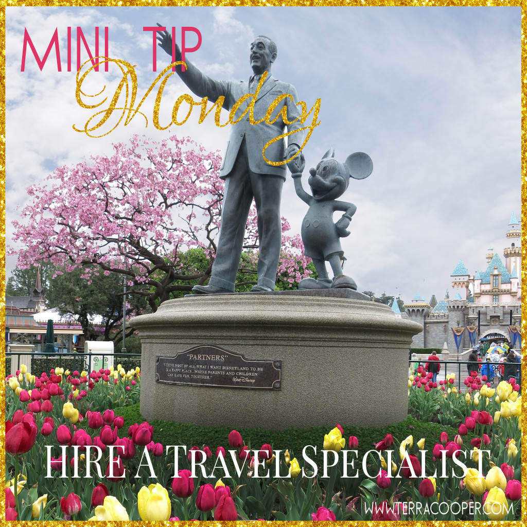Disneyworld Travel Specialist Mouse Tales Travel