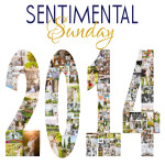 Sentimental Sunday | I Love My Job