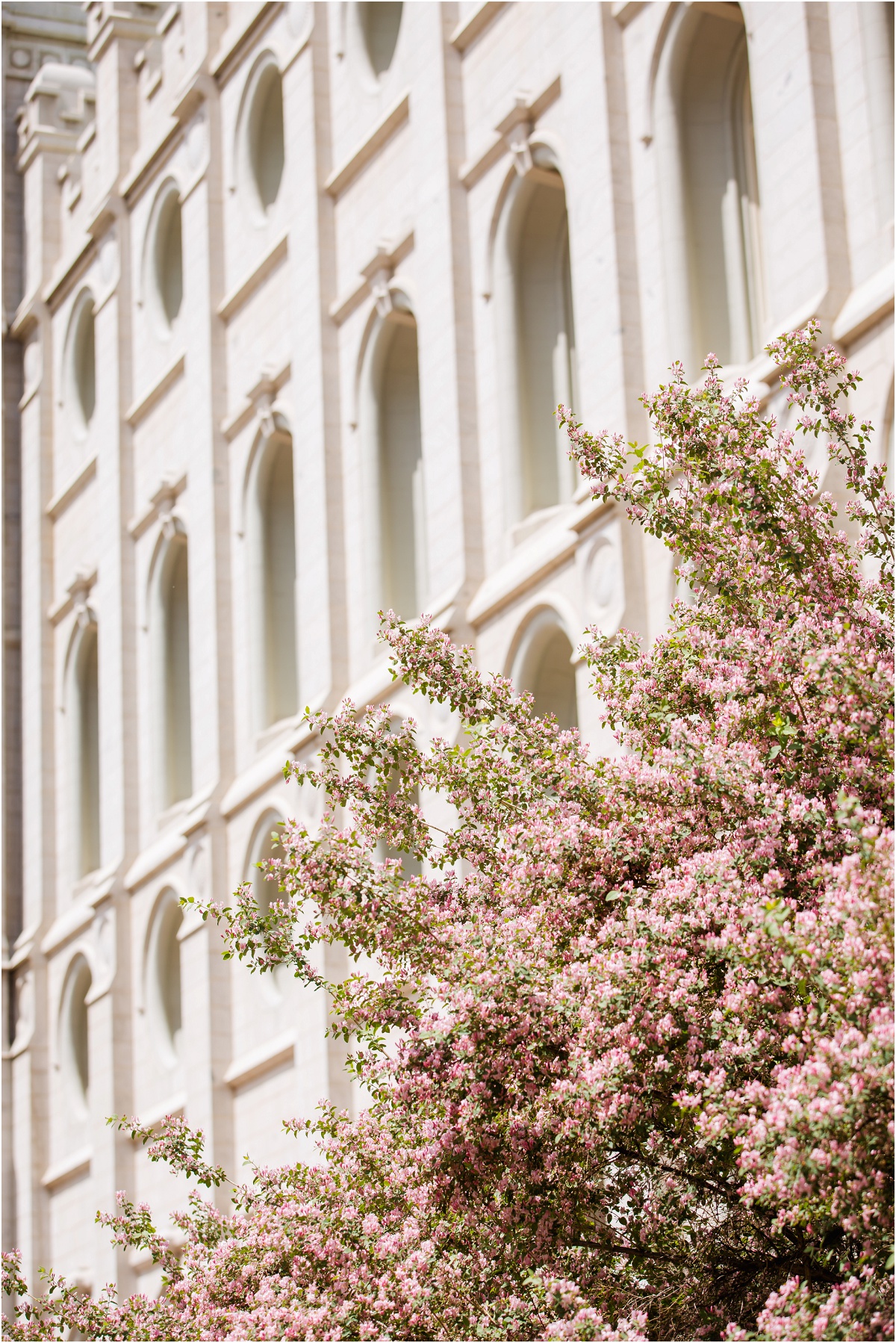 Heritage Gardens Salt Lake Temple Wedding Terra Cooper Photography_2915.jpg