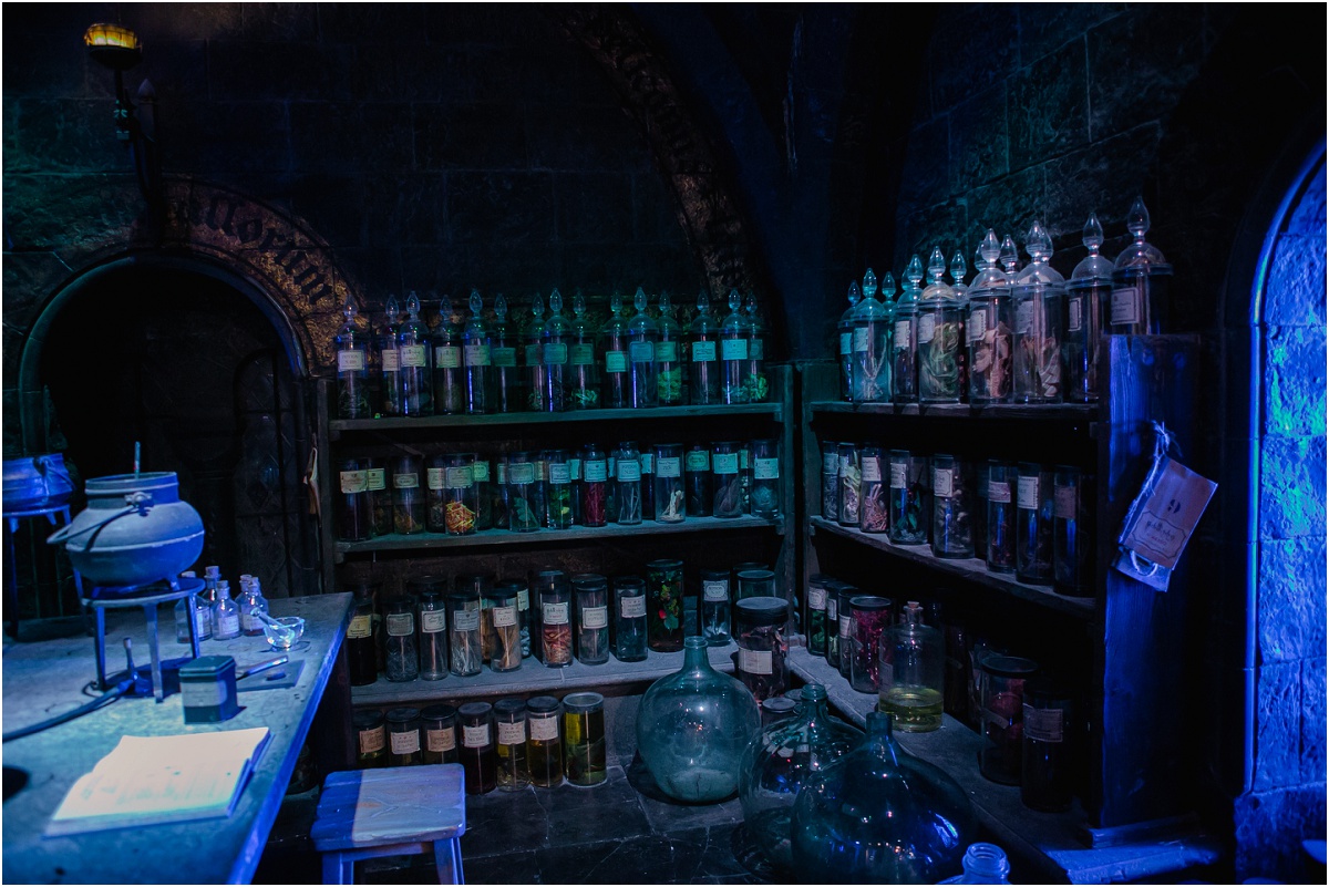 Harry Potter Studios Terra Cooper Photography_3812.jpg