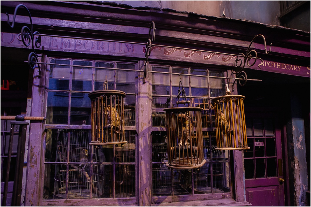 Harry Potter Studios Terra Cooper Photography_3973.jpg