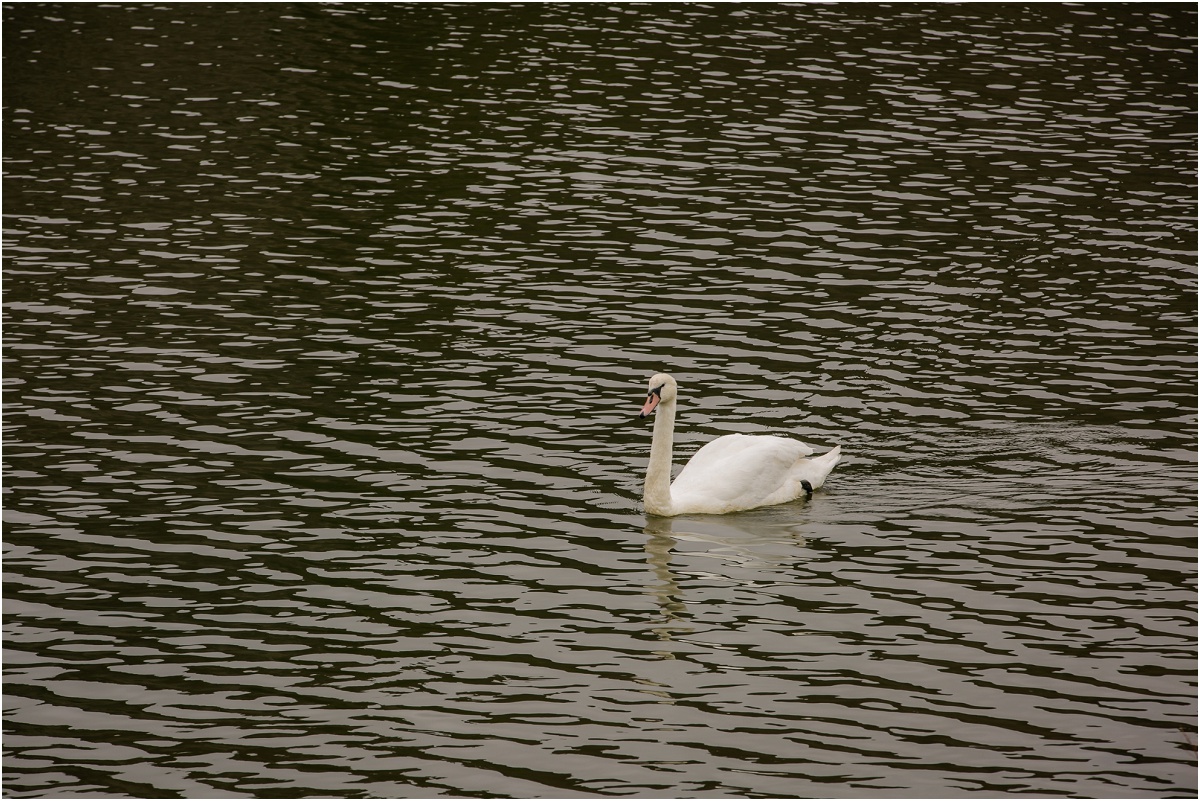 Caerphilly Castle Terra Cooper Photography_4515.jpg