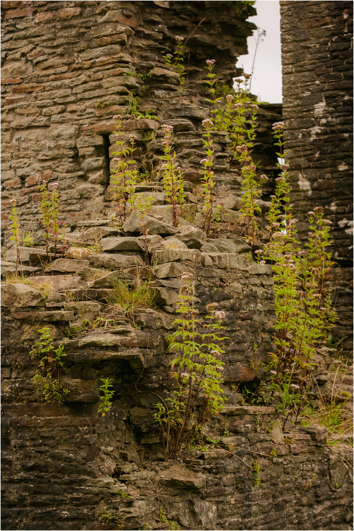 Caerphilly Castle Terra Cooper Photography_4529.jpg