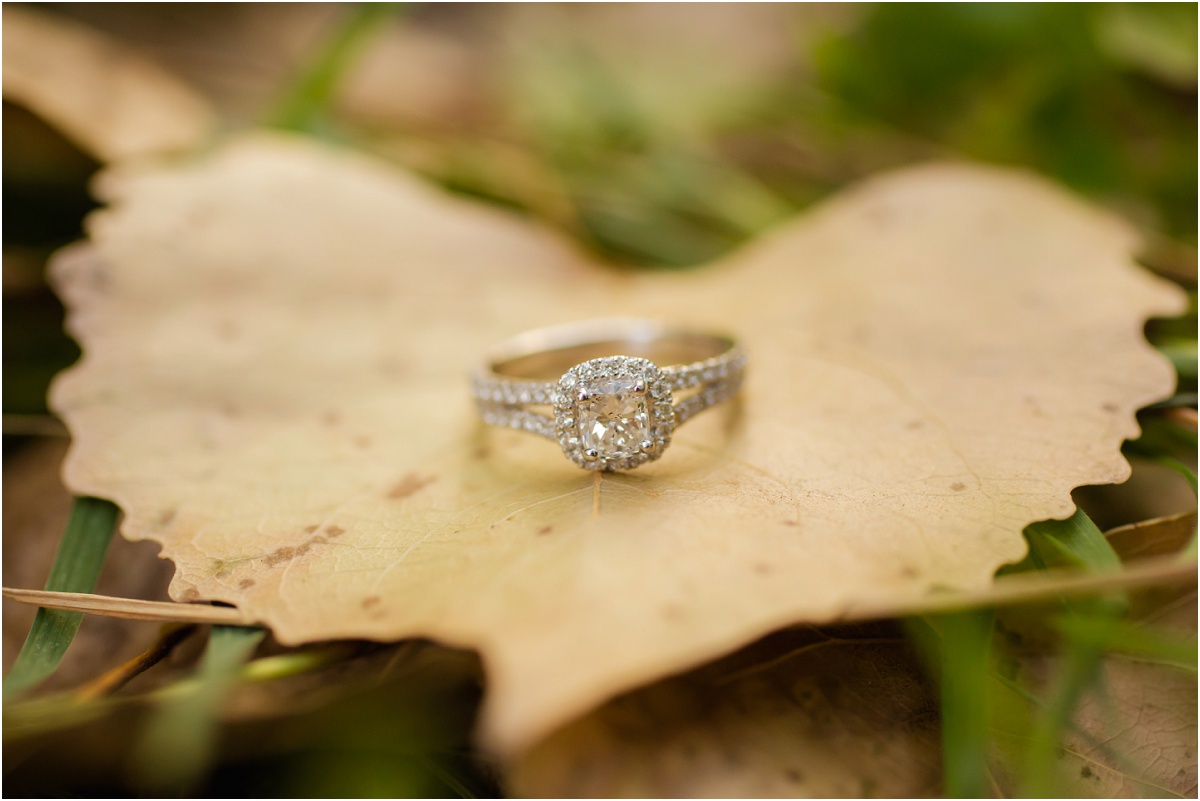 Utah Fall Engagements Terra Cooper Photography_4691.jpg