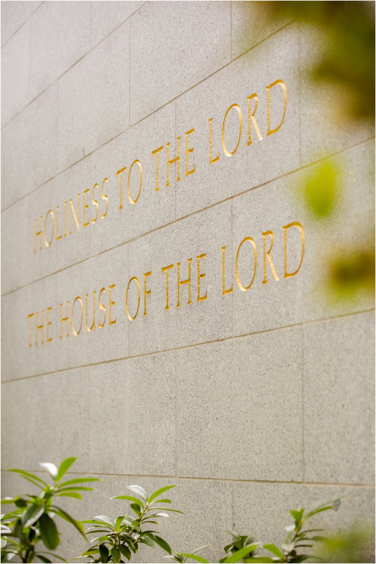 Heritage Gardens Salt Lake City Temple Utah Wedding Terra Cooper Photography_4818.jpg