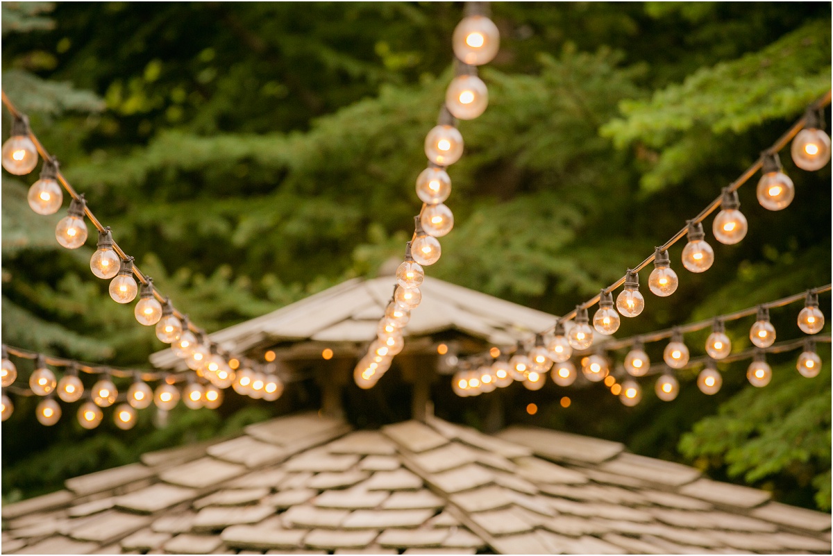 Heritage Gardens Salt Lake City Temple Utah Wedding Terra Cooper Photography_4830.jpg