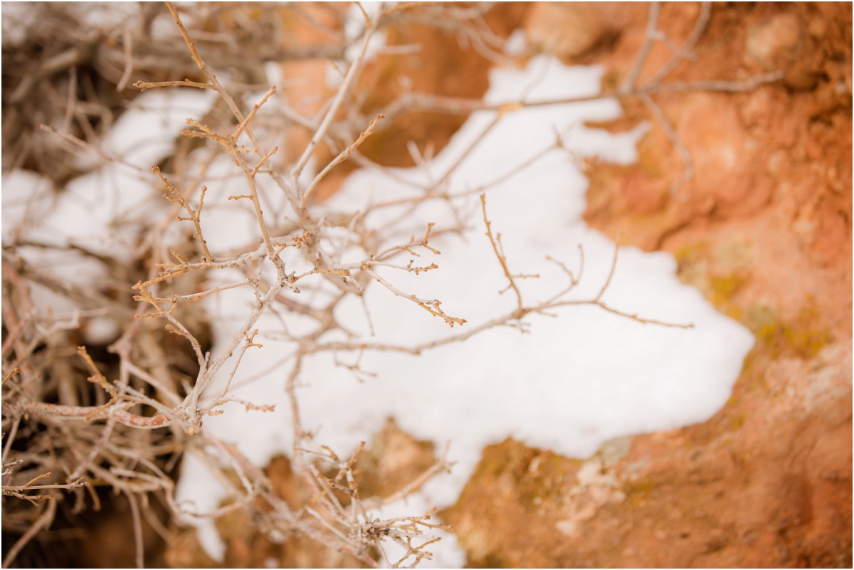 Red Rock Winter Snow Engagements Terra Cooper Photography_5668.jpg